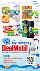 Aktueller EDEKA Prospekt mit Katzenfutter, "Aktuelle Angebote", Seite 24