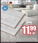 Laminat-Boden Eiche polar Angebote von ESPRIMA bei Wilhelm Pelster GmbH & Co. KG Coesfeld für 11,99 €