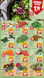 REWE Gurken im Prospekt 