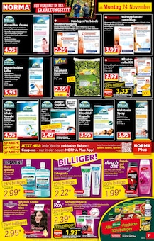 Fleisch im Norma Prospekt "Mehr fürs Geld" mit 20 Seiten (Magdeburg)