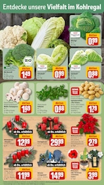 Weihnachten Angebot & Preis im aktuellen REWE Prospekt Weihnachten Angebot im aktuellen REWE Prospekt auf Seite 7