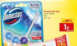 WC-Stein Angebote von Domestos bei Netto Marken-Discount Aschaffenburg für 1,00 €