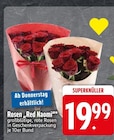 Rosen 'Red Naomi' bei EDEKA im Stephanskirchen Prospekt für 19,99 €