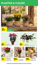Prospectus Carrefour "Carrefour" en cours à Rillieux-la-Pape, Page 65 Catalogue Carrefour en cours à Rillieux-la-Pape, "Carrefour", Page 65