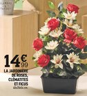 Centrakor - LA JARDINIÈRE 14€ CLÉMATITES ET FICUS : offre du catalogue Promo LA JARDINIÈRE 14€ CLÉMATITES ET FICUS à 14,99 € dans le catalogue Centrakor "TOUSSAINT"