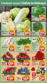 Kerzen im REWE Prospekt in Rheda-Wiedenbrück Aktueller REWE Prospekt mit Kerzen, "Dein Markt", Seite 7