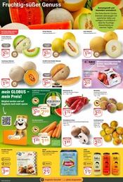 Mango im GLOBUS Prospekt in Krefeld Aktueller GLOBUS Prospekt mit Mango, "Aktuelle Angebote", Seite 8