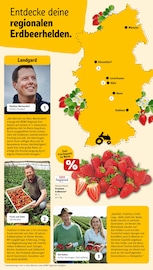 Erdbeeren im REWE Prospekt in Leverkusen Aktueller REWE Prospekt mit Erdbeeren, "Dein Markt", Seite 15