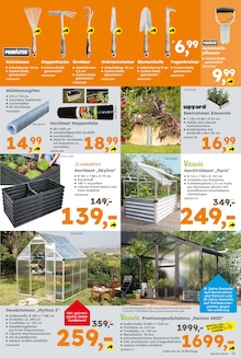 Pflanzen im Globus-Baumarkt Prospekt "Immer eine Idee besser" mit 14 Seiten (Koblenz)