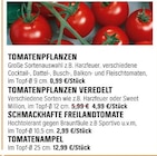 TOMATENPFLANZEN im Angebot bei OBI in Erfurt TOMATENPFLANZEN Angebote bei OBI Erfurt für 0,99 €