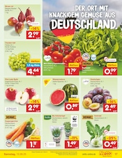 Kräuter im Netto Marken-Discount Prospekt in Nürnberg Aktueller Netto Marken-Discount Prospekt mit Kräuter, "Aktuelle Angebote", Seite 25