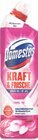 WC-Gel von Domestos im aktuellen V-Markt Prospekt für 1,49 €
