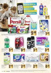 Hundefutter im EDEKA Prospekt in Pirmasens Aktueller EDEKA Prospekt mit Hundefutter, "Aktuelle Angebote", Seite 34