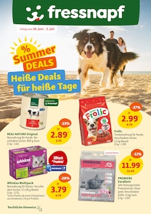 Katzenstreu im Fressnapf Prospekt "Heiße Deals für heiße Tage" mit 14 Seiten (Mülheim (Ruhr))
