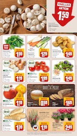 Aktueller REWE Prospekt mit Mixer, "Dein Markt", Seite 10