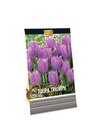 Aktuelle Pflanzen Angebote bei Lidl in Jena Aktuelles Narcissus Angebot bei Lidl in Jena ab 1,99 €