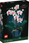 Aktuelles Orchidee Angebot bei Rossmann in Essen ab 34,99 €