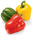 Aktuelle Paprika Angebote bei Netto Marken-Discount in Magdeburg Aktuelles Paprika-Mix Angebot bei Netto Marken-Discount in Magdeburg ab 1,69 €