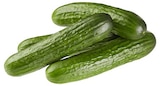 REWE Weeze - Mini Gurken Angebot im Prospekt Mini Gurken bei REWE im Weeze Prospekt für 0,39 €