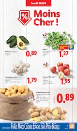 Fruits Et Légumes Angebote im Prospekt "Moins Cher !" von Lidl auf Seite 3