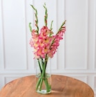 Bouquet de 5 glaïeuls - Super U à Dijon Bouquet de 5 glaïeuls en promo chez Super U Dijon à 4,99 €