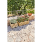 Bac à plantes dans le catalogue Carrefour