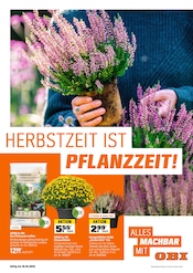 Aktueller OBI Prospekt mit Garten, "HERBSTZEIT IST PFLANZZEIT", Seite 1