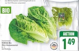 Mini-Romanasalat von EDEKA Bio für 1,49 € bei E center im Angebot Mini-Romanasalat von EDEKA Bio im aktuellen E center Prospekt
