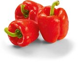 Aktuelle Paprika Angebote bei Netto Marken-Discount in Heilbronn Aktuelles Paprika rot Angebot bei Netto Marken-Discount in Heilbronn ab 1,35 €