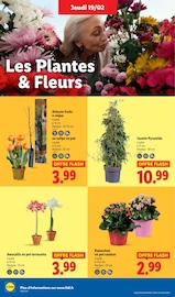 Plantes Angebote im Prospekt "LIDL SOUTIENT LES PRODUCTEURS FRANÇAIS" von Lidl Plantes Angebote im Prospekt "LIDL SOUTIENT LES PRODUCTEURS FRANÇAIS" von Lidl auf Seite 28