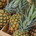 Ananas dans le catalogue Netto