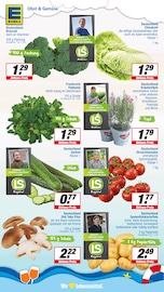 Pflanzen im EDEKA Prospekt in Beckum Aktueller EDEKA Prospekt mit Pflanzen, "Aktuelle Angebote", Seite 4