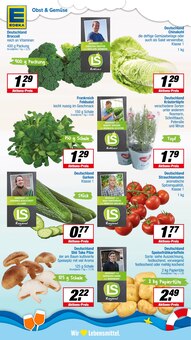 Tomaten im aktuellen EDEKA Prospekt (Hamm) Tomaten im EDEKA Prospekt "Aktuelle Angebote" mit 23 Seiten (Hamm)