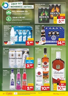 Bier im Netto Marken-Discount Prospekt "Aktuelle Angebote" mit 56 Seiten (Regensburg)