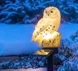 LED Solar Gartenstecker „Schneeeule“ im Angebot bei EDEKA in Stade LED Solar Gartenstecker „Schneeeule“ Angebote bei EDEKA Stade für 5,55 €
