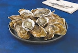 Promo Huitres fines de Normandie IGP à 8,91 € dans le catalogue Bi1 à Marcigny