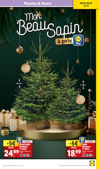 Promo Fleurs d'extérieur dans le catalogue Lidl du moment à la page 33