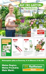 Aktueller ZG Raiffeisen Supermärkte Prospekt für Schwenningen: Auf ins Gartenparadies! mit 8} Seiten, 16.05.2024 - 22.05.2024