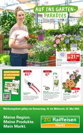 Aktueller ZG Raiffeisen Supermarkt Prospekt in Mahlberg und Umgebung, "Auf ins Gartenparadies!" mit 8 Seiten, 16.05.2024 - 22.05.2024