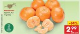 Mandarinen im aktuellen Netto Marken-Discount Prospekt