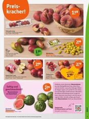 Aktueller tegut Prospekt mit Mango, "tegut… gute Lebensmittel", Seite 5