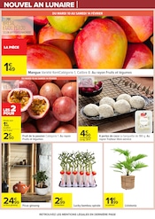 Bambou Angebote im Prospekt "NOUVEL AN LUNAIRE" von Carrefour auf Seite 29