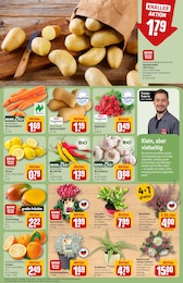 REWE Pute im Prospekt 