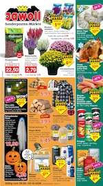 Garten im Jawoll Prospekt in Troisdorf Aktueller Jawoll Prospekt mit Garten, "Sonderposten-Märkte", Seite 1