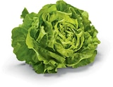 Kopfsalat von HEIMAT für 0,74 € bei Netto Marken-Discount im Angebot Kopfsalat von HEIMAT im aktuellen Netto Marken-Discount Prospekt