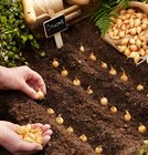 Hagebaumarkt Blankenburg (Harz) Prospekt mit  im Angebot für 1,29 €