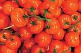 Norma Mulhouse - Promo Tomates rondes en grappes Promo Tomates rondes en grappes à 3,49 € dans le catalogue Norma à Mulhouse