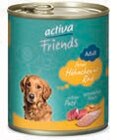 Nassfutter für Hunde von activa Friends im aktuellen DAS FUTTERHAUS Prospekt für 2,49 €