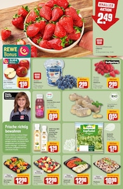 Salat im REWE Prospekt in Kiel Aktueller REWE Prospekt mit Salat, "Dein Markt", Seite 8