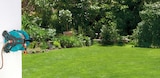Wandschlauchtrommel Set Classic 50 von Gardena für 49,99 € bei Globus-Baumarkt im Angebot Wandschlauchtrommel Set Classic 50 von Gardena im aktuellen Globus-Baumarkt Prospekt